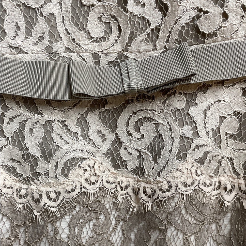 Tadashi Shoji Lace 3/4 Sleeve Dress in Cream and Tan with Belt - Picture 4 of 9
